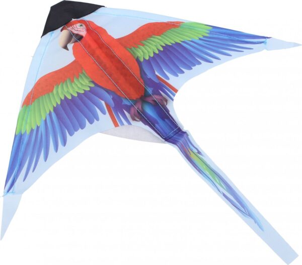 Drak vystřelovací papoušek 38 cm