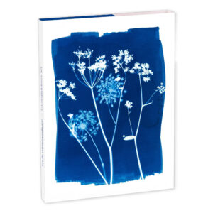 Dopisní sada Cyanotype