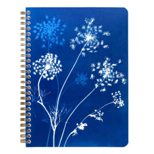 Kroužkový blok Cyanotype