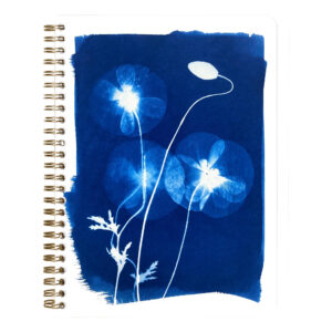 Kroužkový blok Cyanotype