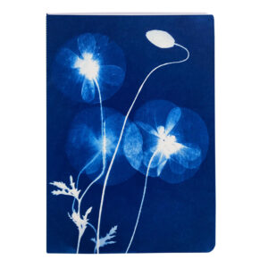 Sešit Cyanotype